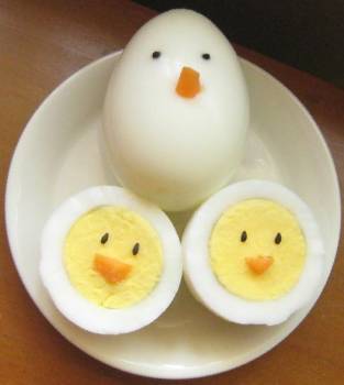boiled egg chicks